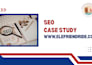 ai SEO, aeo, GEO and monthly on page website optimization